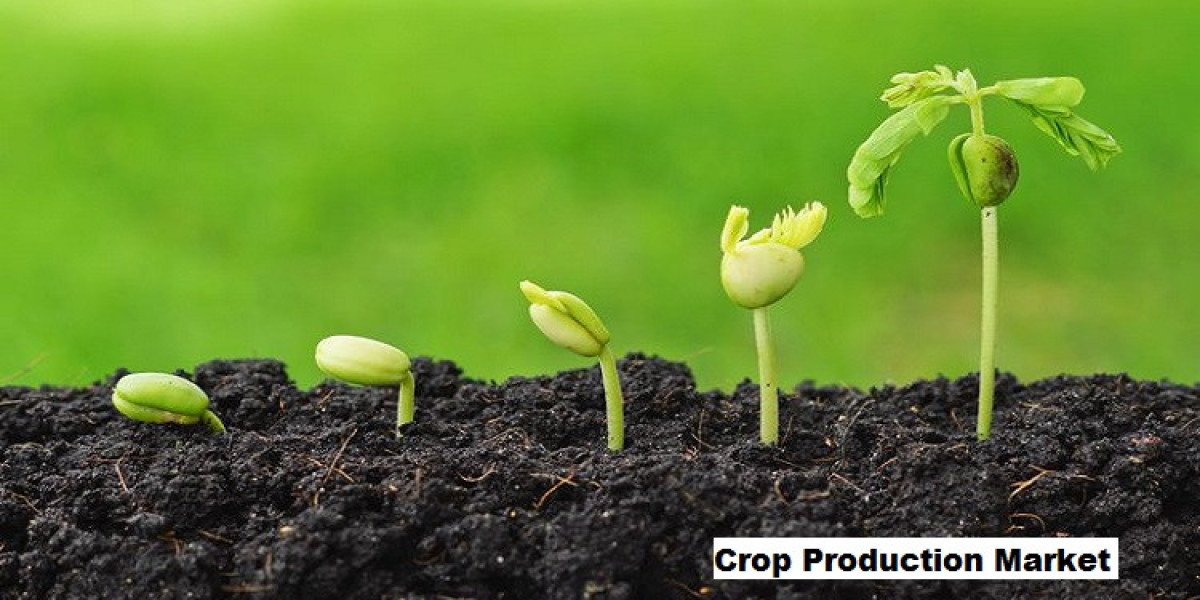 Crop Production Market: Technological Innovations Transforming Farming