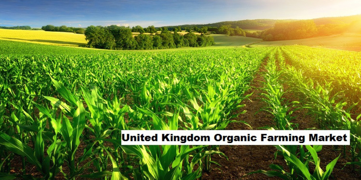 United Kingdom Organic Farming Market: CAGR Trends and Market Dynamics