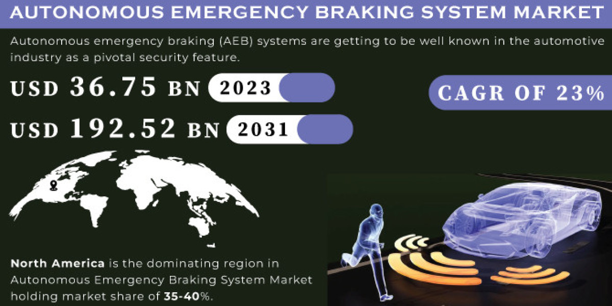 Autonomous Emergency Braking System Market Analysis: Size, Growth & Trends