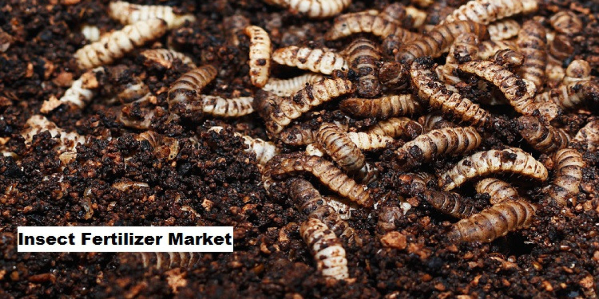 Insect Fertilizer Market Trends: Advancements in Insect-Derived Fertilizer Products