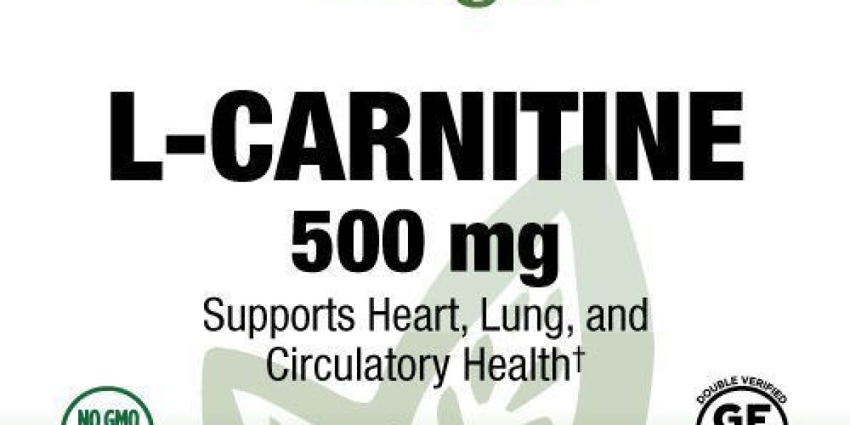 L-Carnitine 500 mg – 30 Vegan Caps