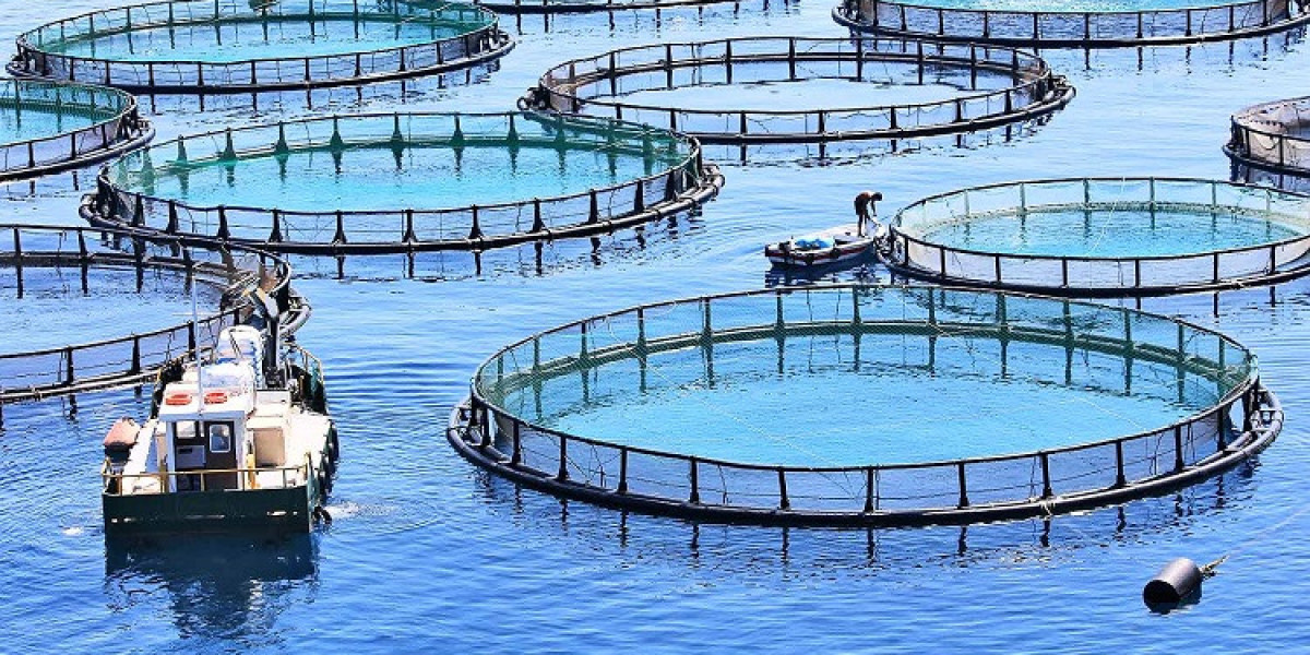 Aquaculture Market to Grow as Species Cultivation Diversifies