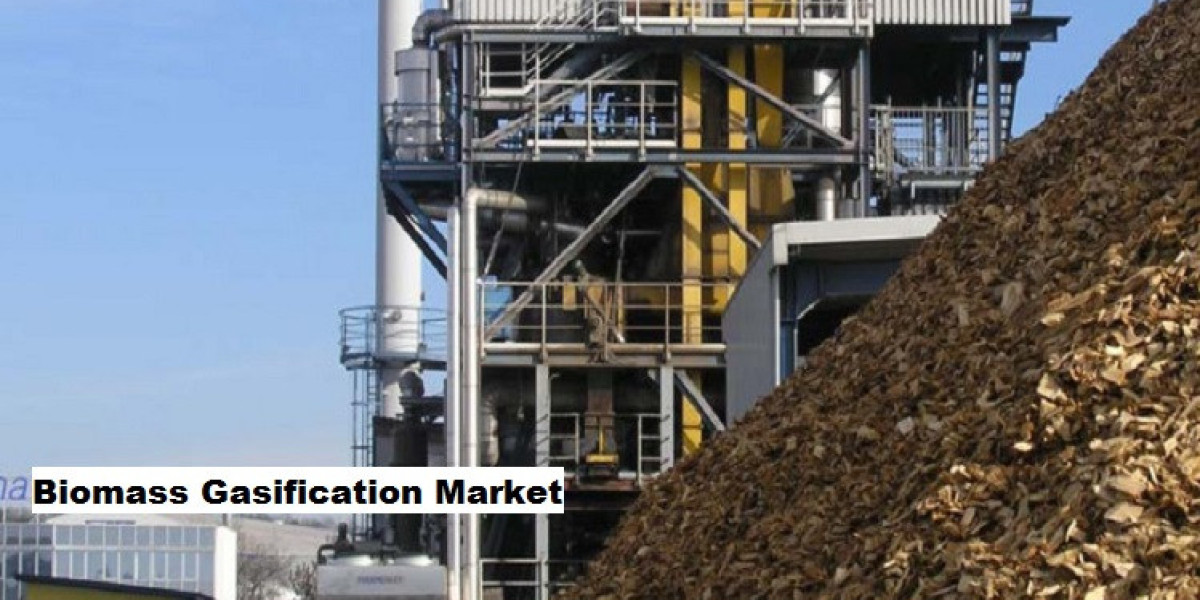 Biomass Gasification Market: Role in Sustainable Development Goals