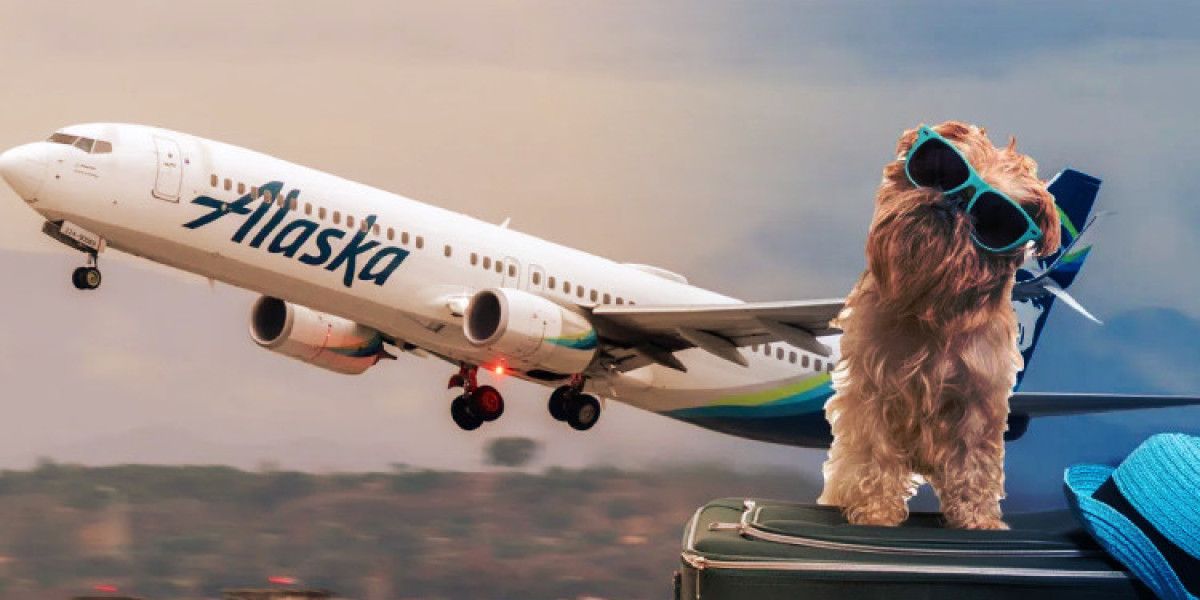 A Guide On Alaska Airlines Pet Policy!