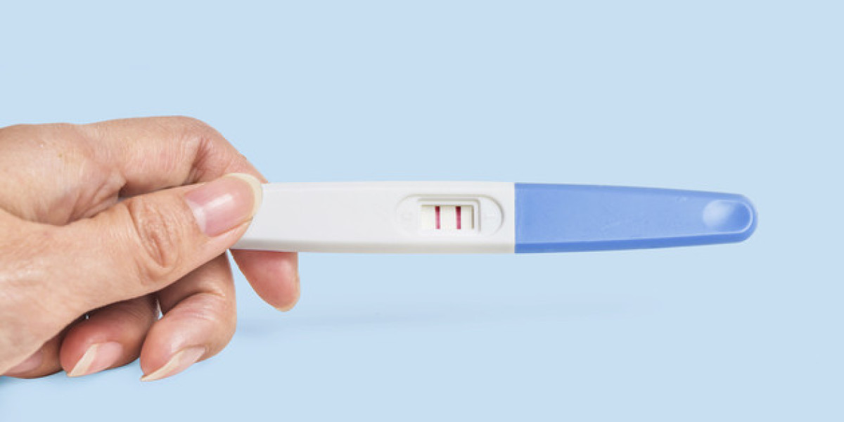 Pregnancy Detection Kits Market Size, Share, Growth and Forecast 2024-2032