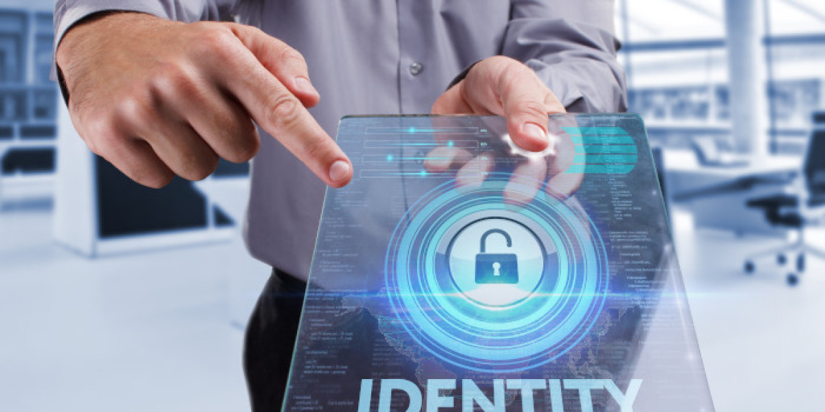 Bimodal Identity Management Solutions Market Future Outlook 2029: Size, Share, Growth, Trends, Forecast