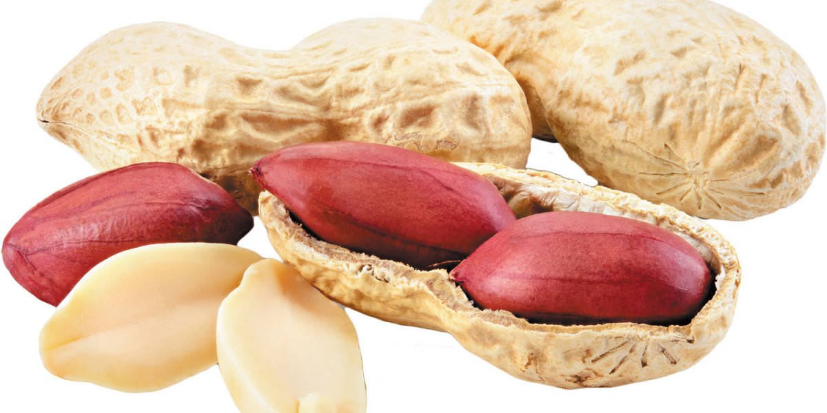 Peanut Manufacturing Plant Project Report 2024: Comprehensive Business Plan, and Raw Materials Requirement