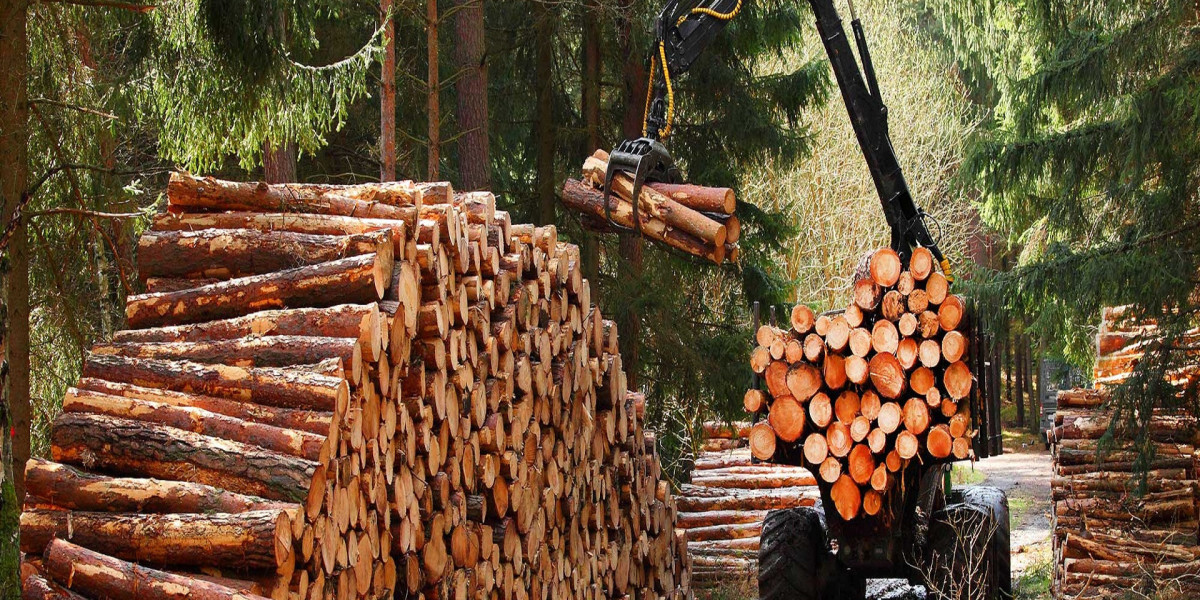 Forestry and Logging Market Expansion Accelerated by Demand for Wooden Furniture