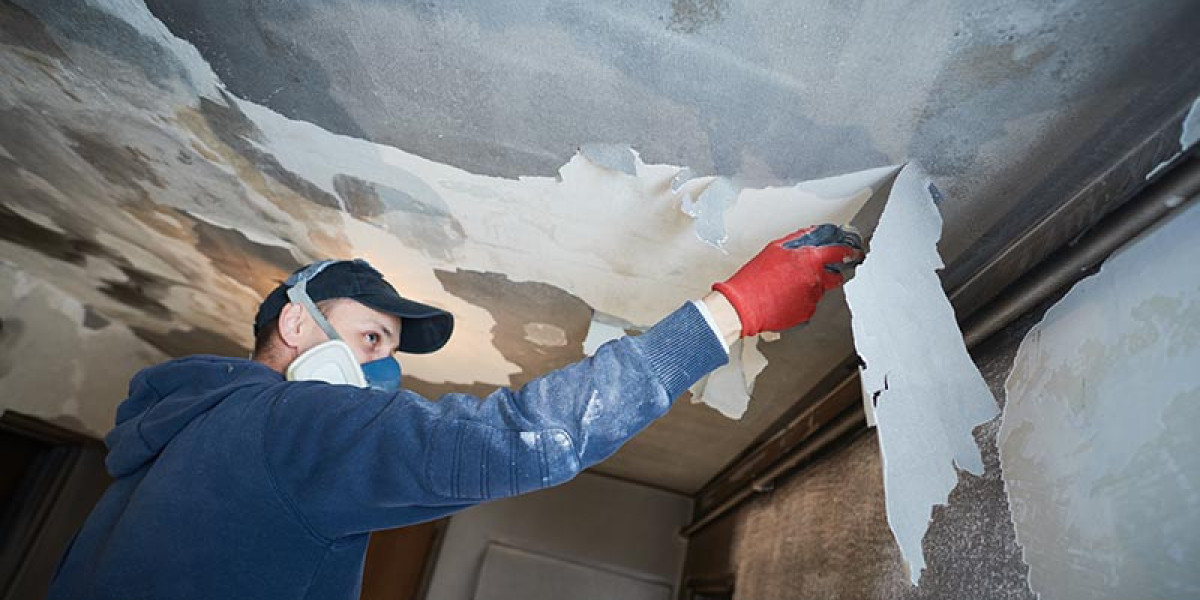 Mold Inspection Near Me: Choosing a Reliable Partner for Assessment