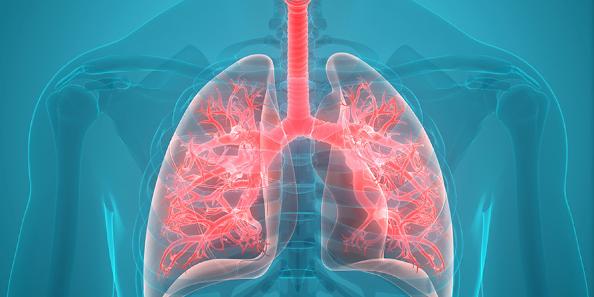 Pneumonia Testing Market Size, Share and Industry Analysis, Report 2024-2032