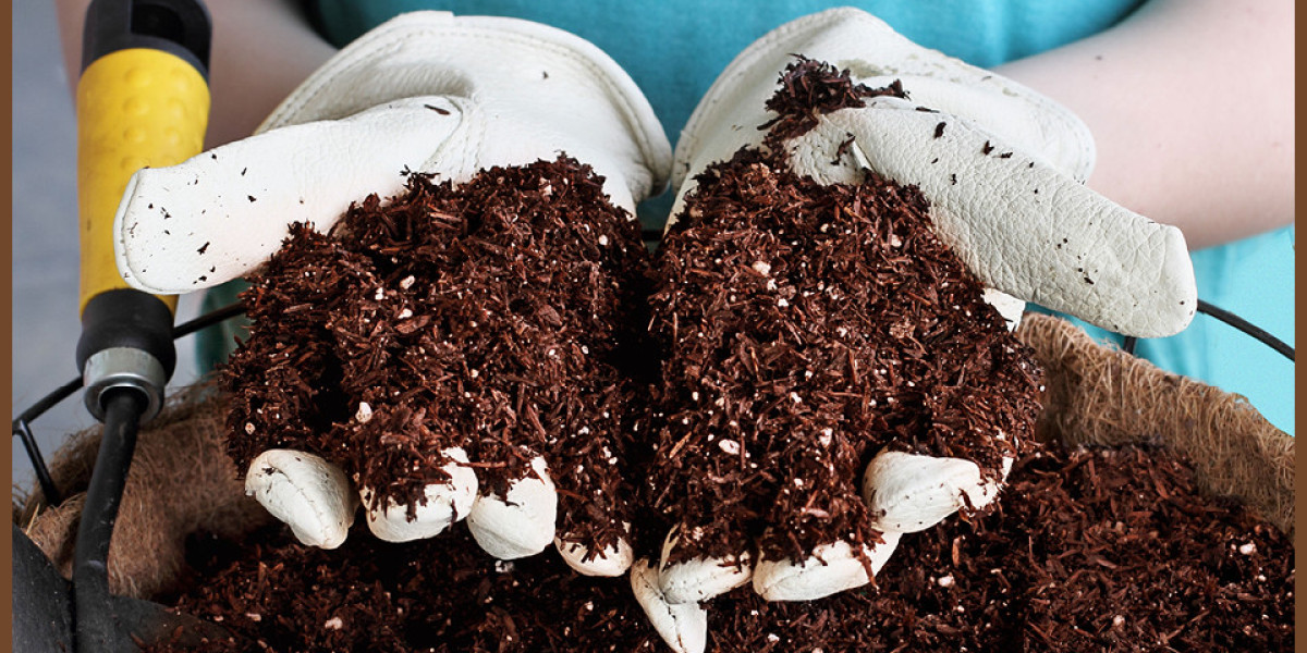 Coco Coir Market Scope, Growth, Trends and Opportunity 2024-2032