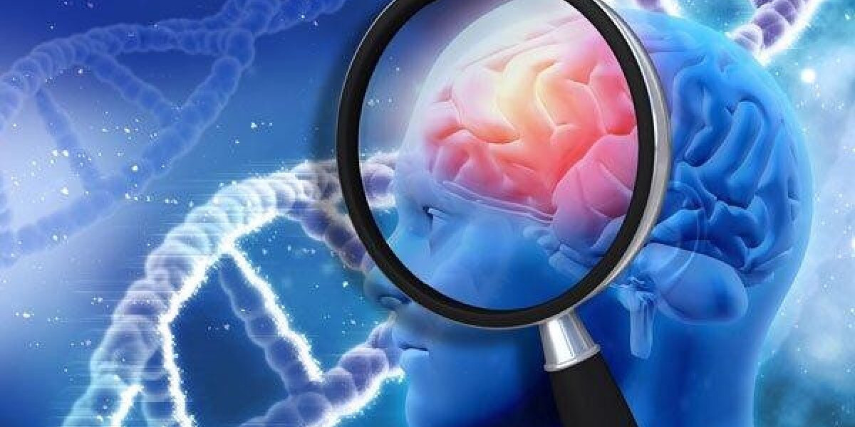 Japan Neurological Biomarkers Market 2024-2032, Industry Outlook, Future Demand, and Forecast