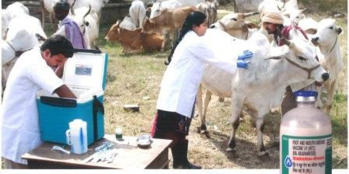 Asia Pacific FMD Vaccine Market Growth, Trends and Opportunity 2024-2032