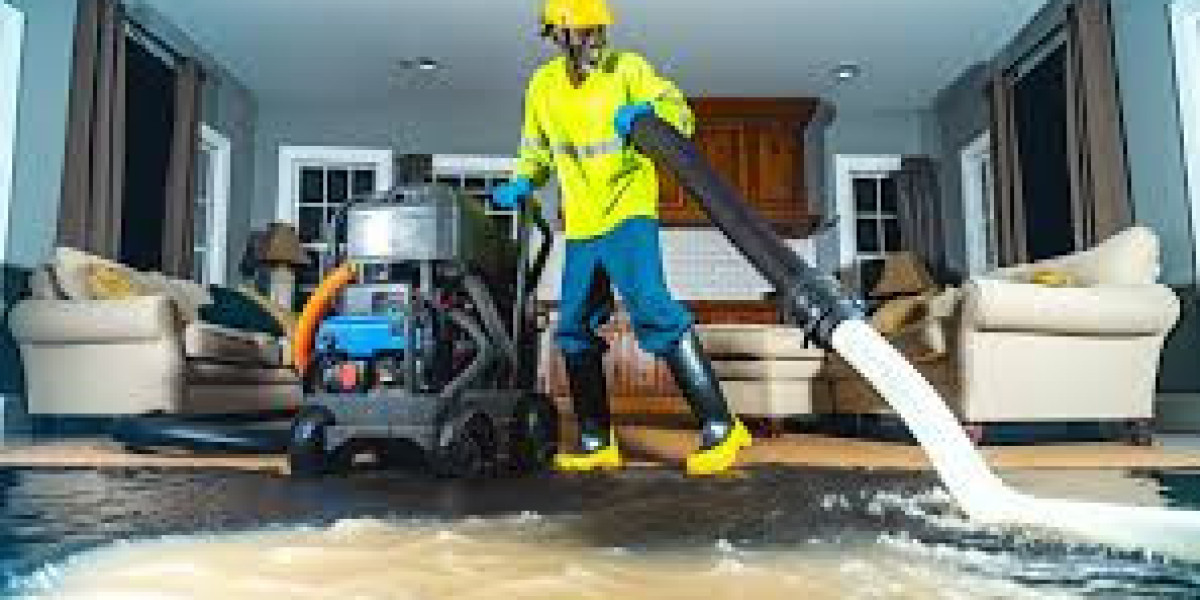 The Essential Guide to Sewage Damage Restoration